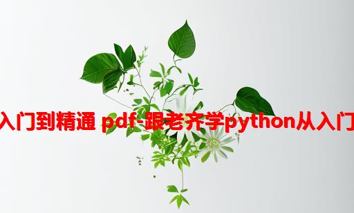 零基础python从入门到精通 pdf-跟老齐学Python：从入门到精通PDF电子版